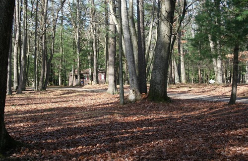 Tylersburg Cabina | Blue Spruce Cabin Getaway