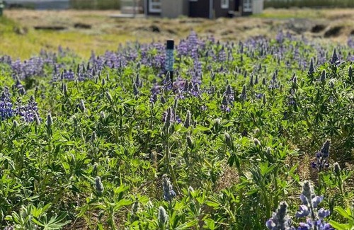 Reykholt Cabina | Blue View Cabin 5B with Hot Tub