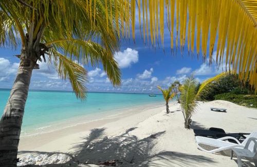 Maamigili Casa | Blue Village