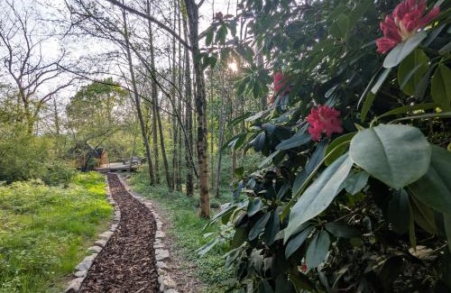 Llanfair Clydogau Otro | Bluebell Hideaway