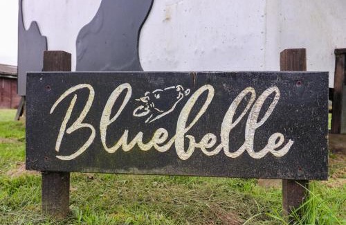 Woodbridge Casa | Bluebelle Cow Shed 5