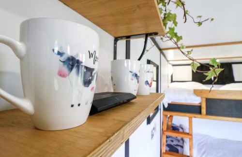 Woodbridge Casa | Bluebelle Cow Shed 5