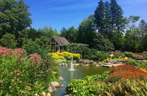 Ocean Point Hotel | Bluebird Ocean Point Inn | King Cottage Suite | Pet-Friendly with Free Dog Treat