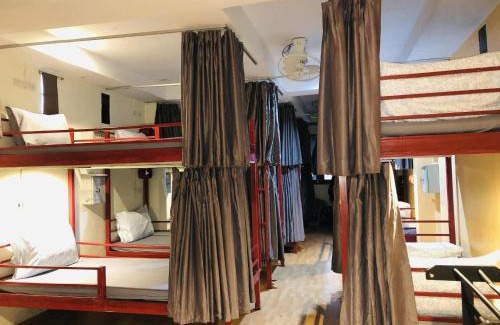 Ko Pha-ngan Hotel | Bluegelatohousekohtao
