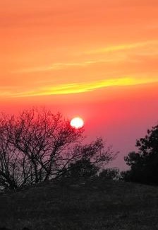 Naina Range Casa | Bluepine Cottages Pangot