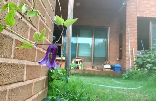 Gyeongju Casa | BluePlanet