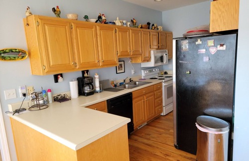 Fair Play Casa | Blues Brothers Hideaway - Lakefront - Fenced yard - Pets Welcome - Clemson 20 mi