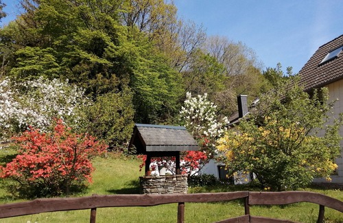 Simmerath Apartamento | Blumenhof Hammerwerk 1