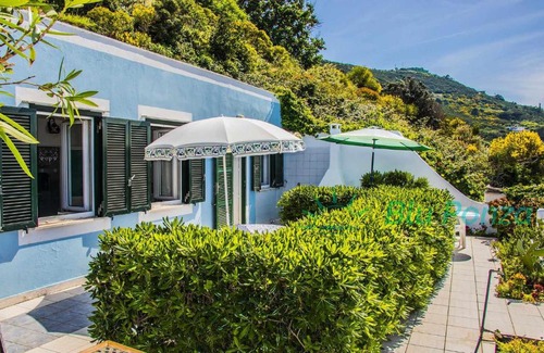 Le Forna Villa | BluPonza Case Vacanza Villa Rosa
