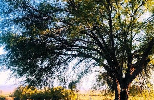 Volmoed Casa | Blye Uitsig