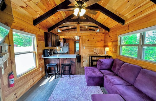Twin Mountain Cabina | BMV4 Awesome "Tiny Home" A/C, Mountain Views, Minutes to Skiing, Hiking, Attractions, Dog Friendly!