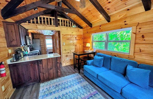 Twin Mountain Cabina | BMV7 Awesome "Tiny Home" A/C, Mountain Views, Minutes to Skiing, Hiking, Attractions, Dog Friendly!