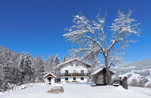 Monguelfo Apartamento | Bnb Lettnerhof Terrace Family Suite