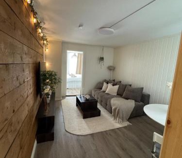 Bergen City Centre Apartamento | Bo i Bergens eldste smau på Nøstet - sentralt og rolig
