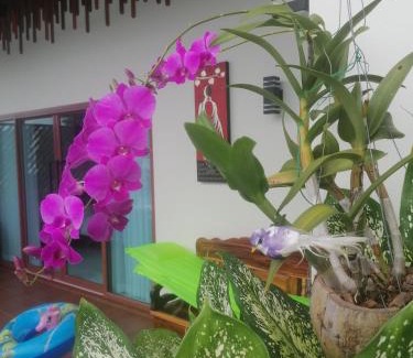 Kantang Cama Y Desayuno | Bo Pla Homestay