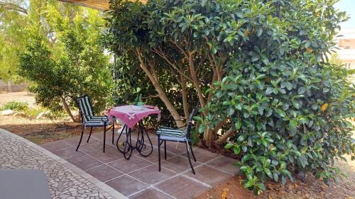 Matino Apartamento | Boat dreams , garden relax
