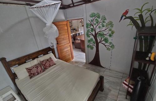 Pital Apartamento | Boca Tapada Rainforest