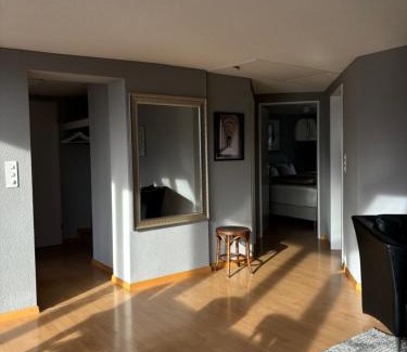 Lichtensteig Apartamento | Bodega NOI Apartement