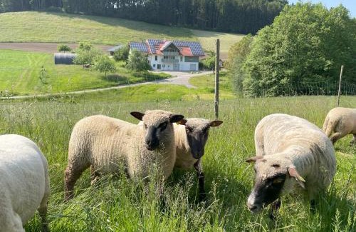 Neukirch Apartamento | BodenSEE Apartment Neukirch Goppertsweiler HASE
