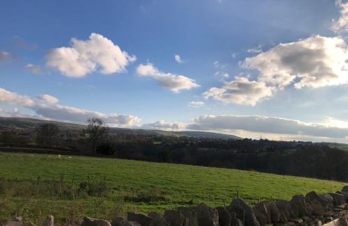 Treharris Otro | Bodey's Barrel