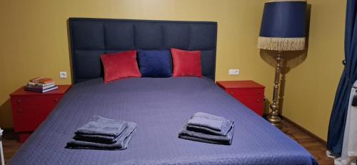 Siauliai City Center Apartamento | Boho House