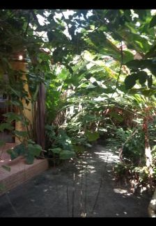 Velha Boipeba Apartamento | Boipeba Cantinho do Mirko II
