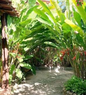Velha Boipeba Apartamento | BOIPEBA Cantinho do Mirko 1
