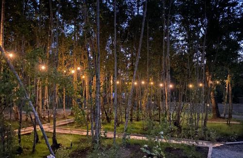 Pucon Casa | Boker Tov Pucón