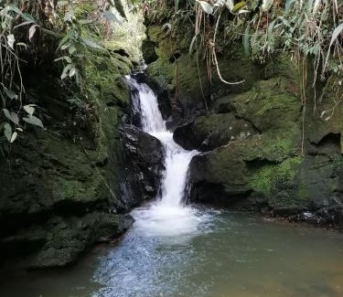 San Vicente Otro | Boketto Glamping