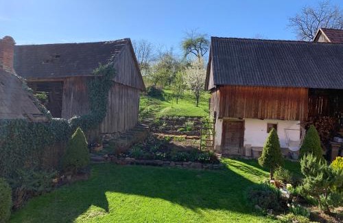 Zetea Apartamento | Bokréta