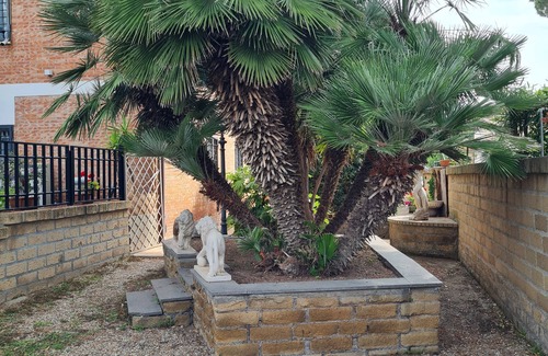 Lido di Tarquinia Apartamento | Apartamento Casa Diletta