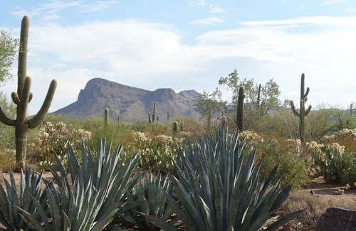 Picture Rocks West Casa | Book over 30 days and no taxes plus 20% discount!
