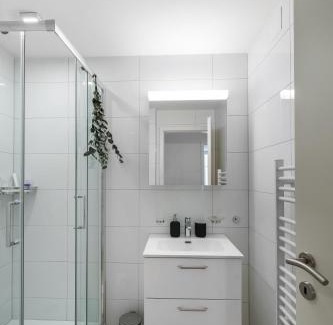 St. Gallen Apartamento | book2stay modernes Apartment OLMA-Areal