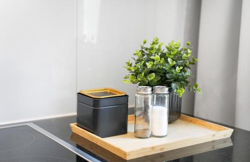 St. Gallen Apartamento | book2stay modernes Apartment OLMA-Areal