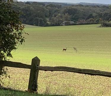 Petersfield Cama Y Desayuno | Bootmenders B&B