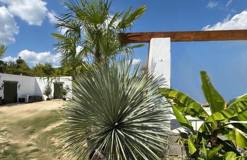 Pazmandfalu Apartamento | Borbara Apartman