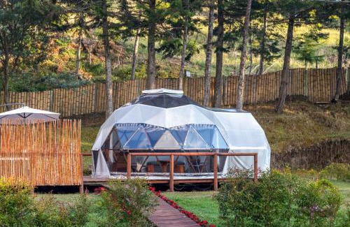 Sonson Otro | Boreal Refugio Natural