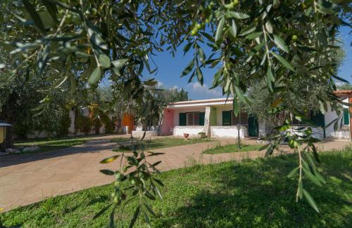 Mattinata Apartamento | Borghetto Tio Pepe