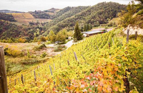 Loazzolo Casa | Borgo Isolabella - Wine & Vermouth Resort