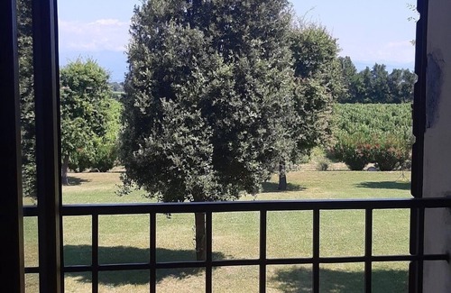 San Benedetto di Lugana Casa | Borgo San Donino - Selva Capuzza