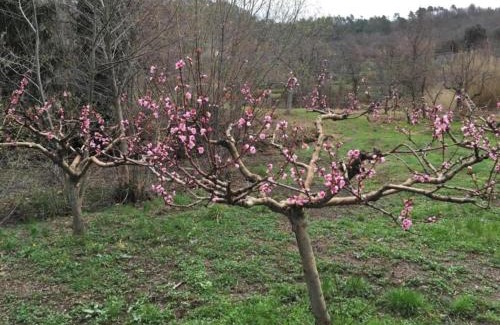 Deiva Marina Apartamento | Borgo San Pietro - Deiva Marina