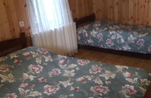 Likani Apartamento | Borjomi Mzetamze