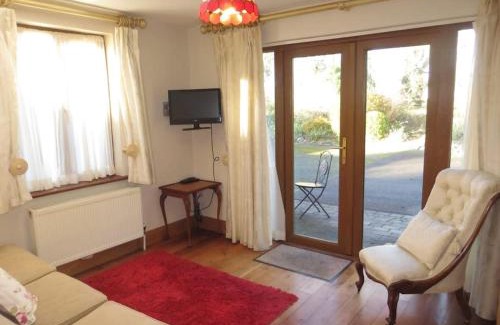 Enniscorthy Apartamento | Borodino Studio Apartment