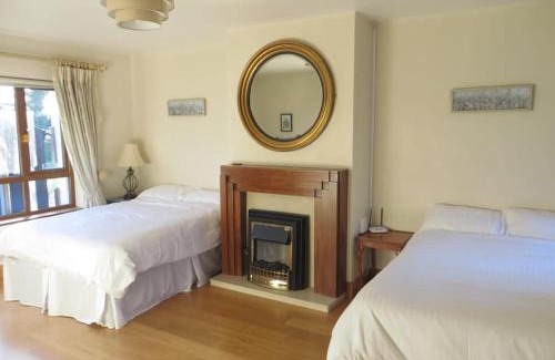Enniscorthy Apartamento | Borodino Studio Apartment