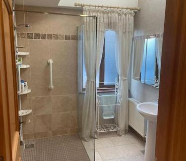 Enniscorthy Apartamento | Borodino Studio Apartment