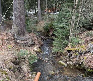 Borovets Hotel | Borovetz Gardens MVS Apart E28