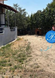 Borsh Casa | Borsh Selavi Guest House