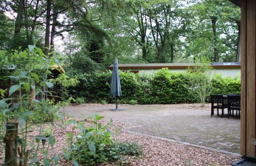 Gorssel Casa | Boshuis Dreamstay Gorssel