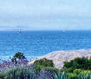 Simon's Town Cabina | Bosky Dell on Boulders Beach
