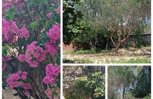 Senhor Do Bonfim Casa | Bosque dos coqueiros casa de temporada